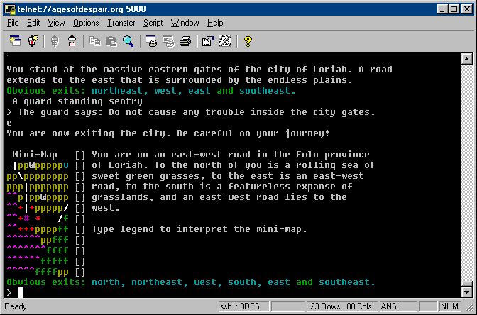 Ages of Despair gameplay screen